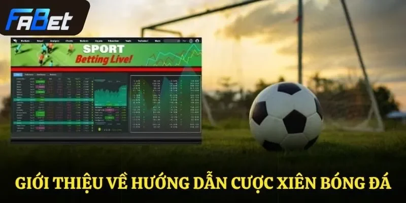 Giới thiệu về hướng dẫn cược xiên bóng đá